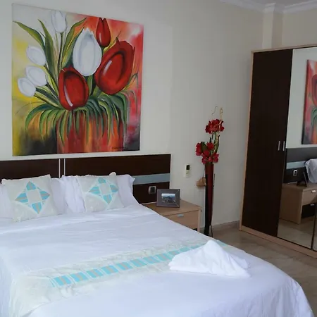 The Confort House 3*